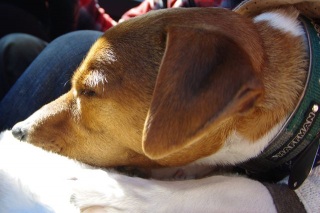 Zzzzz@by 
