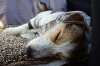 Zzzzz@by 