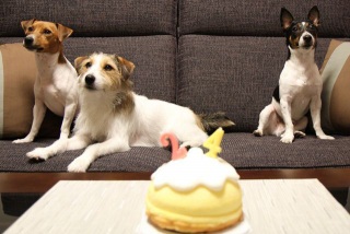 Happy Birthday ~ 2